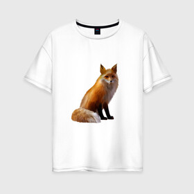 Женская футболка хлопок Oversize с принтом лиса в Курске, 100% хлопок | свободный крой, круглый ворот, спущенный рукав, длина до линии бедер
 | животное | зверь | лисица | пушистая лисичка | хищник