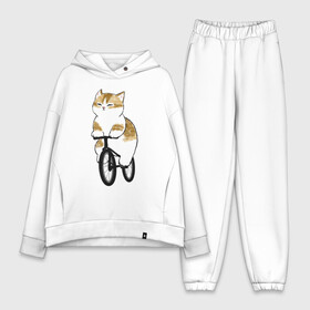 Женский костюм хлопок Oversize с принтом Котик на велосипеде в Курске,  |  | Тематика изображения на принте: арт | велосипед | ветер | кот | котёнок | кошка | милая кошка | милый кот | милый котёнок | отдых | отдыхает | пончик | рисунок