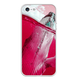 Чехол для iPhone 5/5S матовый с принтом Кит в Курске, Силикон | Область печати: задняя сторона чехла, без боковых панелей | кит | морские животные | неоновый мир | под водой | прикольные животные | розовая природа | розовый мир