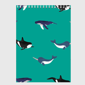 Скетчбук с принтом Нарвал, киты, касатка паттерн в Курске, 100% бумага
 | 48 листов, плотность листов — 100 г/м2, плотность картонной обложки — 250 г/м2. Листы скреплены сверху удобной пружинной спиралью | изумрудно зеленый цвет | касатки | киты | морская фауна | морские животные | морские жители | нарвал | океан | паттерн