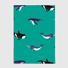 Постер с принтом Нарвал, киты, касатка паттерн в Курске, 100% бумага
 | бумага, плотность 150 мг. Матовая, но за счет высокого коэффициента гладкости имеет небольшой блеск и дает на свету блики, но в отличии от глянцевой бумаги не покрыта лаком | изумрудно зеленый цвет | касатки | киты | морская фауна | морские животные | морские жители | нарвал | океан | паттерн