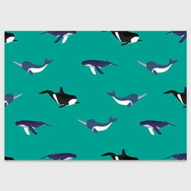 Поздравительная открытка с принтом Нарвал, киты, касатка паттерн в Курске, 100% бумага | плотность бумаги 280 г/м2, матовая, на обратной стороне линовка и место для марки
 | изумрудно зеленый цвет | касатки | киты | морская фауна | морские животные | морские жители | нарвал | океан | паттерн