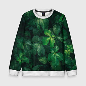 Детский свитшот 3D Тропическая листва | Тропики (Z): в Курске, 100% полиэстер | свободная посадка, прямой крой, мягкая тканевая резинка на рукавах и понизу свитшота | jungle | tropical foliage | tropical tree | tropical tree leaves | tropics | джунгли | листья тропического дерева | тропики | тропическая листва | тропическое дерево