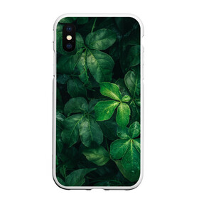 Чехол для iPhone XS Max матовый Тропическая листва | Тропики (Z): в Курске, Силикон | Область печати: задняя сторона чехла, без боковых панелей | jungle | tropical foliage | tropical tree | tropical tree leaves | tropics | джунгли | листья тропического дерева | тропики | тропическая листва | тропическое дерево