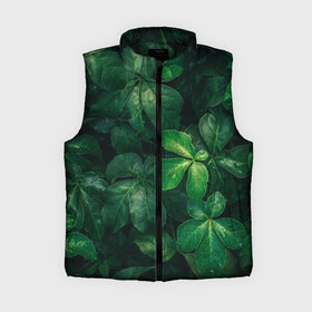 Женский жилет утепленный 3D Тропическая листва | Тропики (Z): в Курске,  |  | jungle | tropical foliage | tropical tree | tropical tree leaves | tropics | джунгли | листья тропического дерева | тропики | тропическая листва | тропическое дерево