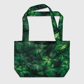 Пляжная сумка 3D Тропическая листва | Тропики (Z): в Курске, 100% полиэстер | застегивается на металлическую кнопку; внутренний карман застегивается на молнию. Стенки укреплены специальным мягким материалом, чтобы защитить содержимое от несильных ударов
 | jungle | tropical foliage | tropical tree | tropical tree leaves | tropics | джунгли | листья тропического дерева | тропики | тропическая листва | тропическое дерево