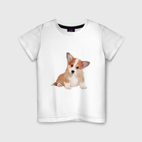 Детская футболка хлопок с принтом Fluffy Corgi в Курске, 100% хлопок | круглый вырез горловины, полуприлегающий силуэт, длина до линии бедер | Тематика изображения на принте: corgi | dog | fluffy | puppy | корги | милый | пушистый | собака | щенок