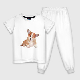 Детская пижама хлопок с принтом Fluffy Corgi в Курске, 100% хлопок |  брюки и футболка прямого кроя, без карманов, на брюках мягкая резинка на поясе и по низу штанин
 | Тематика изображения на принте: corgi | dog | fluffy | puppy | корги | милый | пушистый | собака | щенок