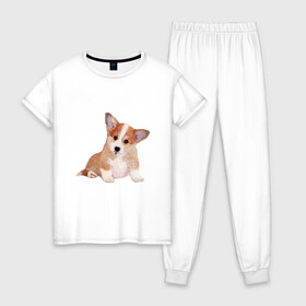 Женская пижама хлопок с принтом Fluffy Corgi в Курске, 100% хлопок | брюки и футболка прямого кроя, без карманов, на брюках мягкая резинка на поясе и по низу штанин | corgi | dog | fluffy | puppy | корги | милый | пушистый | собака | щенок