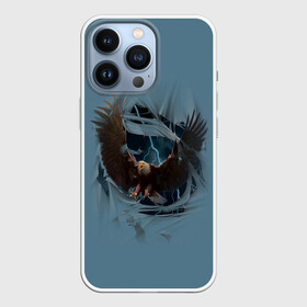 Чехол для iPhone 13 Pro с принтом ОРЕЛ СКВОЗЬ ТКАНЬ в Курске,  |  | animal | bird | eagle | hunter | power | гордый | гроза | животные | звери | молния | мощь | орел | природа | птица | сила | хищник