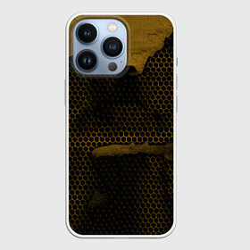 Чехол для iPhone 13 Pro с принтом Pittsburgh Penguins на спине в Курске,  |  | canada | ice | nhl | pittsburgh penguins | sport | usa | зима | канада | лед | малкин | пингвины | питсбург | спорт | сша | хоккей | шайбу