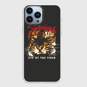 Чехол для iPhone 13 Pro Max с принтом Глаз Тигра в Курске,  |  | eye of the tiger | hardrock | music | rock | tiger | глаз тигра | музыка | рок | тигр | хардрок