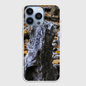 Чехол для iPhone 13 Pro с принтом Осенняя лень в Курске,  |  | апатия | вдохновение | грусть | депрессия | желтый | камень | камни | камушек | кризис | лень | листочек | листья | осень | природа | сезон | творчество | усталость