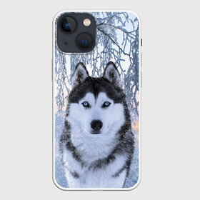 Чехол для iPhone 13 mini с принтом Хаски В Зимнем Лесу в Курске,  |  | dog | forest | husky | winter | зима | лес | новый год | снег | собака | хаски