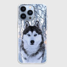 Чехол для iPhone 13 Pro с принтом Хаски В Зимнем Лесу в Курске,  |  | dog | forest | husky | winter | зима | лес | новый год | снег | собака | хаски