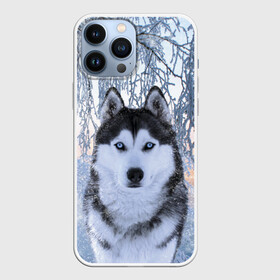 Чехол для iPhone 13 Pro Max с принтом Хаски В Зимнем Лесу в Курске,  |  | dog | forest | husky | winter | зима | лес | новый год | снег | собака | хаски