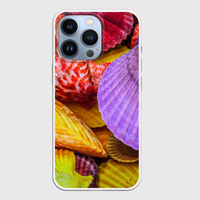 Чехол для iPhone 13 Pro с принтом Разноцветные ракушки  multicolored seashells в Курске,  |  | holiday | multicolored seashells | sea | sea house | summer | лагуна | лето | моллюск | море | морская тема | морские обитатели | морские ракушки | морской пляж | океан | отпуск | перламутр | пляж | подводный мир