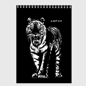 Скетчбук с принтом А вот и я, бандерлоги в Курске, 100% бумага
 | 48 листов, плотность листов — 100 г/м2, плотность картонной обложки — 250 г/м2. Листы скреплены сверху удобной пружинной спиралью | 2022 | and here i am | big cat | came | new year | predator | tiger | year of the tiger | а вот и я | большая кошка | год тигра | новый год | пришел | тигр | хищник