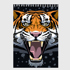 Скетчбук с принтом Амурский тигр в ночи в Курске, 100% бумага
 | 48 листов, плотность листов — 100 г/м2, плотность картонной обложки — 250 г/м2. Листы скреплены сверху удобной пружинной спиралью | Тематика изображения на принте: 2022 | aggression | amur tiger | beast | grin | new year | night | open mouth | predator | snowfall | winter | year of the tiger | агрессия | амурский тигр | год тигра | зверь | зима | новый год | ночь | оскал | открытая пасть | снегопад | хищник