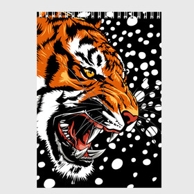 Скетчбук с принтом Амурский тигр и снегопад в Курске, 100% бумага
 | 48 листов, плотность листов — 100 г/м2, плотность картонной обложки — 250 г/м2. Листы скреплены сверху удобной пружинной спиралью | 2022 | amur tiger | beast | grin | new year | night | open mouth | predator | profile | snowfall | winter | year of the tiger | амурский тигр | год тигра | зверь | зима | новый год | ночь | оскал | открытая пасть | профиль | снегопад | хищник