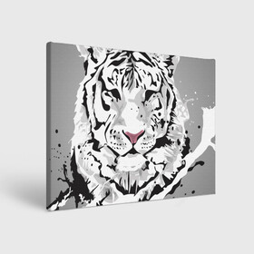 Холст прямоугольный с принтом Белый снежный тигр в Курске, 100% ПВХ |  | 2022 | art | beast | new year | predator | splashes and drops | white tiger | year of the tiger | белый тигр | брызги и капли | год тигра | зверь | искусство | новый год | хищник