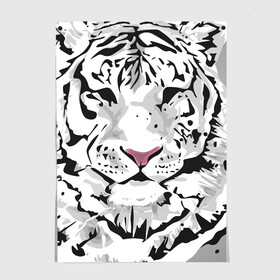 Постер с принтом Белый снежный тигр в Курске, 100% бумага
 | бумага, плотность 150 мг. Матовая, но за счет высокого коэффициента гладкости имеет небольшой блеск и дает на свету блики, но в отличии от глянцевой бумаги не покрыта лаком | 2022 | art | beast | new year | predator | splashes and drops | white tiger | year of the tiger | белый тигр | брызги и капли | год тигра | зверь | искусство | новый год | хищник