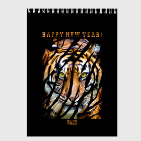 Скетчбук с принтом Happy New Year 2022 в Курске, 100% бумага
 | 48 листов, плотность листов — 100 г/м2, плотность картонной обложки — 250 г/м2. Листы скреплены сверху удобной пружинной спиралью | 2022 | amur tiger | beast | happy new year | merry christmas | new year | predator | stern look | year of the tiger | амурский тигр | год тигра | зверь | новый год | суровый взгляд | хищник