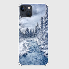 Чехол для iPhone 13 с принтом СНЕЖНЫЙ ПЕЙЗАЖ в Курске,  |  | fores | ice | snow | white | winter | белый | вода | зима | иней | красота | лед | лес | мороз | небо | новый год | пейзаж | природа | река | ручей | снег