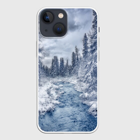 Чехол для iPhone 13 mini с принтом СНЕЖНЫЙ ПЕЙЗАЖ в Курске,  |  | fores | ice | snow | white | winter | белый | вода | зима | иней | красота | лед | лес | мороз | небо | новый год | пейзаж | природа | река | ручей | снег