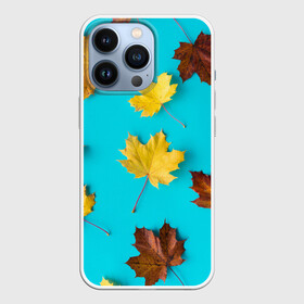 Чехол для iPhone 13 Pro с принтом Кленовый листочек в Курске,  |  | красивое | листья | модное | осень | тренды
