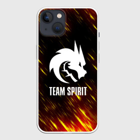 Чехол для iPhone 13 с принтом Team Spirit   Тим Спирит. в Курске,  |  | cs go | dota | dota 2 | team spirit | дракон | киберспорт | кс го | спирит | тим спирит