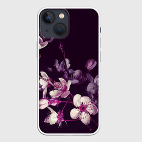 Чехол для iPhone 13 mini с принтом САКУРА НА ЧЁРНОМ ФОНЕ в Курске,  |  | культура | природа | растение | сакура | цветёт | япония