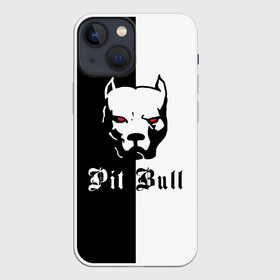 Чехол для iPhone 13 mini с принтом Pit Bull (боец) в Курске,  |  | boxer | bulldog | fighting dog | pit bull | барбос | бобик | бойцовская собака | бойцовский пес | боксер | бульдог | волкодав | год со | друг человека | животное | зверь | ищейка | кинолог | кость | лайка | лапы | лев | пес