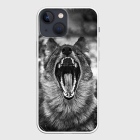 Чехол для iPhone 13 mini с принтом Волчья пасть, зевает в Курске,  |  | wolf | wolfs | волк | волка | волки | волчара | волчья | животные | звери | зевает | лес | оскал | пасть | природа