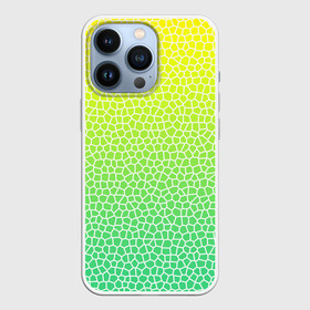 Чехол для iPhone 13 Pro с принтом Витражная мозаика в Курске,  |  | витраж | градиент | зеленое стекло | зеленый | зеленый радуга | зеленый сети | лимон | мозаика | радуга | светло зеленый | соты | яркий