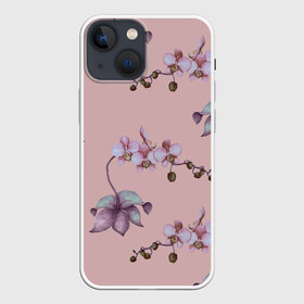 Чехол для iPhone 13 mini с принтом Розовые орхидеи на розовом фоне в Курске,  |  | 8 марта | flowers | march 8 | spring | ботаническая иллюстрация | весна | день рождения | лето | любовь | орхидея | праздник | принт | природа | растения | розовый | цветы