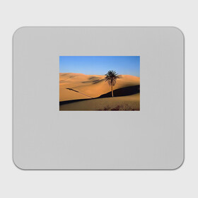 Прямоугольный коврик для мышки с принтом Пустыня в Курске, натуральный каучук | размер 230 х 185 мм; запечатка лицевой стороны | пустынякрасивая пустыняприродапейзаж