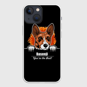 Чехол для iPhone 13 mini с принтом Басенджи (Basenji) в Курске,  |  | african dog | animal | basenji | congo terrier | dog | африканская собака | басенджи | год собаки | друг человека | животное | зверь | кинолог | конго терьер | пёс | собака басенджи | собаковод | четвероногий