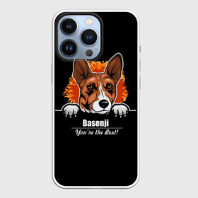 Чехол для iPhone 13 Pro с принтом Басенджи (Basenji) в Курске,  |  | african dog | animal | basenji | congo terrier | dog | африканская собака | басенджи | год собаки | друг человека | животное | зверь | кинолог | конго терьер | пёс | собака басенджи | собаковод | четвероногий