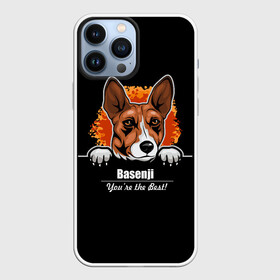 Чехол для iPhone 13 Pro Max с принтом Басенджи (Basenji) в Курске,  |  | african dog | animal | basenji | congo terrier | dog | африканская собака | басенджи | год собаки | друг человека | животное | зверь | кинолог | конго терьер | пёс | собака басенджи | собаковод | четвероногий