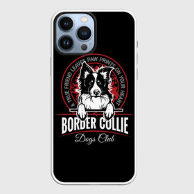 Чехол для iPhone 13 Pro Max с принтом Бордер Колли (Border Collie) в Курске,  |  | animal | border collie | dog | бордер колли | год собаки | друг человека | животное | зверь | ищейка | кинолог | кость | овчарка | пастушья собака | пёс | порода собак | собака бордер колли | собаковод