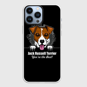 Чехол для iPhone 13 Pro Max с принтом Джек Рассел Терьер (Jack Russell Terrier) в Курске,  |  | animal | dog terrier | jack russell terrier | год собаки | джек рассел терьер | друг человека | животное | зверь | кинолог | охотничья собака | пёс | пёсик | собака джек рассел терьер | собаковод | терьер