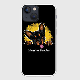 Чехол для iPhone 13 mini с принтом Пинчер (Miniature Pinscher) в Курске,  |  | animal | dog | german pinscher | min pi | miniature pinscher | pinscher | год собаки | друг человека | животное | зверь | кинолог | мин пин | миниатюрный пинчер | немецкий пинчер | пёс | пинчер | порода собак | собака
