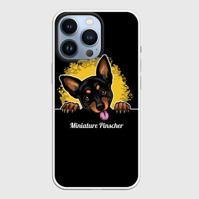 Чехол для iPhone 13 Pro с принтом Пинчер (Miniature Pinscher) в Курске,  |  | animal | dog | german pinscher | min pi | miniature pinscher | pinscher | год собаки | друг человека | животное | зверь | кинолог | мин пин | миниатюрный пинчер | немецкий пинчер | пёс | пинчер | порода собак | собака
