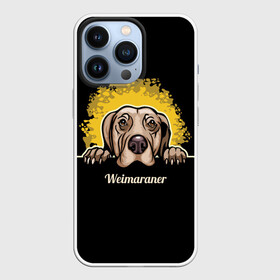 Чехол для iPhone 13 Pro с принтом Веймаранер (Weimaraner) в Курске,  |  | animal | dog | hunting dog | weimaraner | веймаранер | веймарская овчарка | год собаки | друг человека | животное | зверь | кинолог | легавая | охотничья собака | пёс | порода собак | собака | собака веймаранер