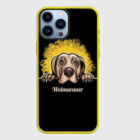 Чехол для iPhone 13 Pro Max с принтом Веймаранер (Weimaraner) в Курске,  |  | animal | dog | hunting dog | weimaraner | веймаранер | веймарская овчарка | год собаки | друг человека | животное | зверь | кинолог | легавая | охотничья собака | пёс | порода собак | собака | собака веймаранер