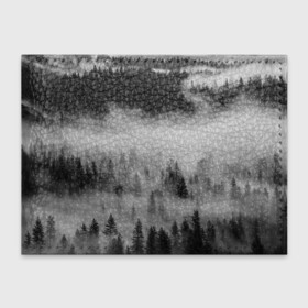 Обложка для студенческого билета с принтом ТУМАННЫЙ ЛЕС | FOREST в Курске, натуральная кожа | Размер: 11*8 см; Печать на всей внешней стороне | forest | деревья | дым | лес | мрачный лес | природа | туман