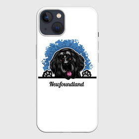 Чехол для iPhone 13 с принтом Ньюфаундленд (Newfoundland) в Курске,  |  | animal | diver dog | dog | newfoundland dog | год собаки | друг человека | животное | зверь | кинолог | ньюфаундленд | пёс | порода собак | собака | собака водолаз | собака ньюфаундленд | собаковод | щенок