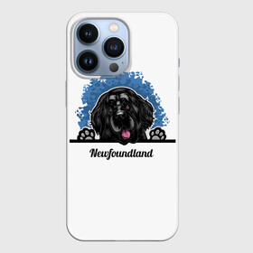 Чехол для iPhone 13 Pro с принтом Ньюфаундленд (Newfoundland) в Курске,  |  | animal | diver dog | dog | newfoundland dog | год собаки | друг человека | животное | зверь | кинолог | ньюфаундленд | пёс | порода собак | собака | собака водолаз | собака ньюфаундленд | собаковод | щенок