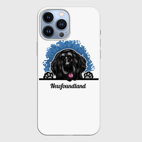 Чехол для iPhone 13 Pro Max с принтом Ньюфаундленд (Newfoundland) в Курске,  |  | animal | diver dog | dog | newfoundland dog | год собаки | друг человека | животное | зверь | кинолог | ньюфаундленд | пёс | порода собак | собака | собака водолаз | собака ньюфаундленд | собаковод | щенок